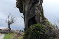 sur les chemins de Gatine